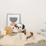 ソフトメッシュハーネス - Image 6