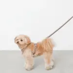 2wayコットンライクリード【名入れ刺繍対応】 - Image 4