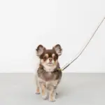 バイカラーサークルチャームレザーカラー【名入れ彫刻対応】 - Image 10