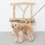 フラワーテープハーネス - Image 9