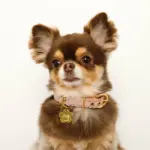 なみなみフラワーチャームレザーカラー【名入れ彫刻対応】 - Image 3