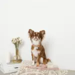 なみなみフラワーチャームレザーカラー【名入れ彫刻対応】 - Image 10