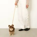 なみなみレザーリード - Image 6