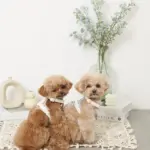 PUレザーテープハーネス+リードSET - Image 7