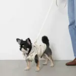 PUレザーテープハーネス+リードSET - Image 10