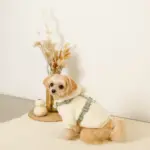 反射ほし柄ハーネス - Image 7