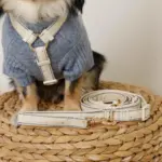 2way反射ほし柄リード - Image 8