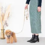 シンプルベーシックカラーリード - Image 2