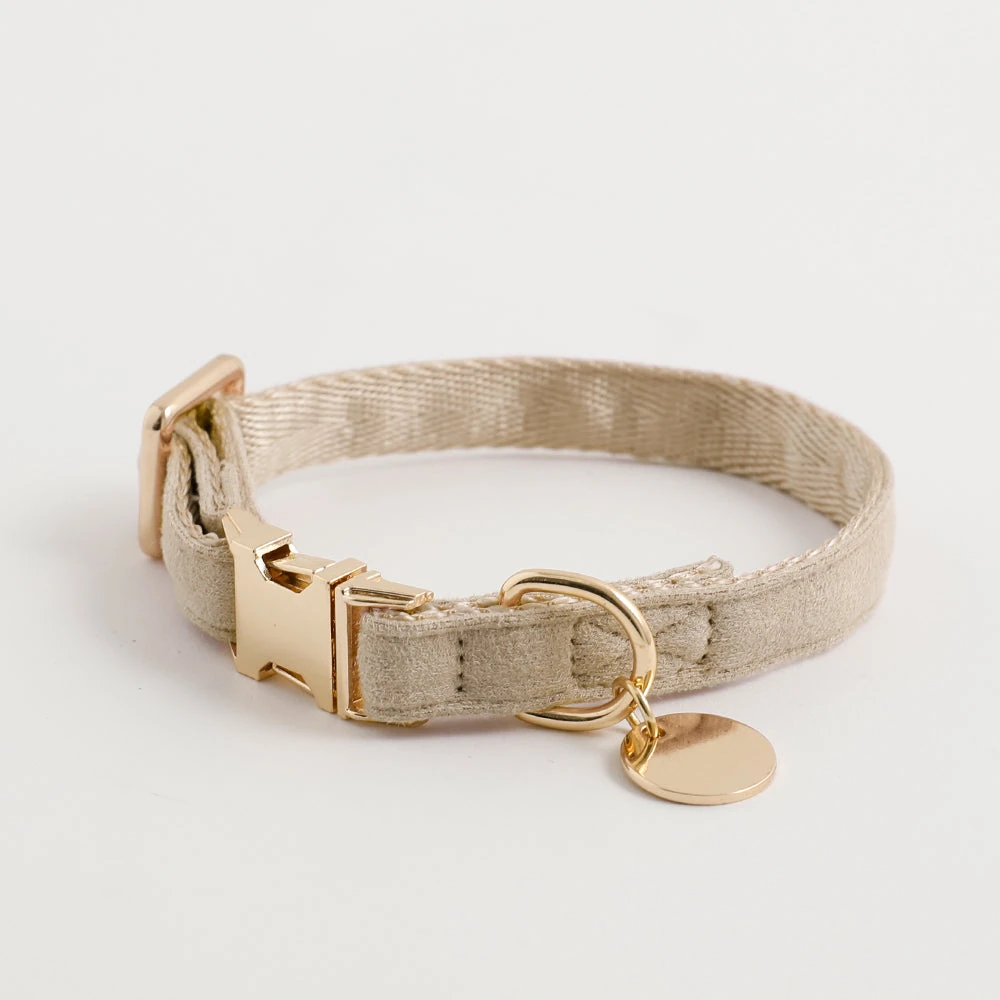 product_image_1763959567.webp エコスエードカラー+リードSET【名入れ彫刻対応】 - Image 1