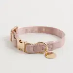 エコスエードカラー＋リードSET【名入れ彫刻対応】 - Image 2