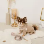 ボアコンビハーネス＋リードSET【名入れ刺繍対応】 - Image 2