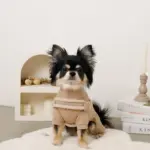 ボアコンビハーネス＋リードSET【名入れ刺繍対応】 - Image 8