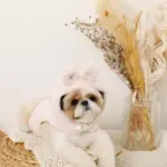 うさぎ耳付きフードファーハーネス - Image 5