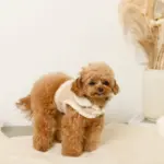 ムートン風ハーネス+リードSET【名入れ刺繍対応】 - Image 4