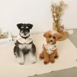 ムートン風ハーネス+リードSET【名入れ刺繍対応】 - Image 6