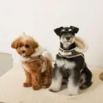 ファーフード付チェックハーネス+リードSET【名入れ刺繍対応】 - Image 8