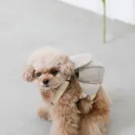 ニュアンスカラーリュックハーネス【名入れ刺繍対応】 - Image 4