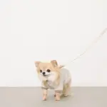 マクラメエコレザーリード - Image 9