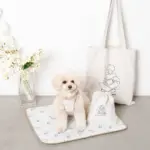 tomboniaコラボハーネス+リードSET【名入れ刺繍対応】 - Image 4