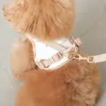 tomboniaコラボハーネス+リードSET【名入れ刺繍対応】 - Image 10