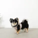 ぽこぽこハーネス+リードSET【名入れ刺繍対応】 - Image 5