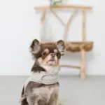 ギンガムチェックハーネス - Image 9