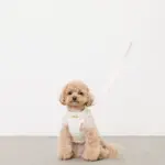 ぽこぽこチェックハーネス＋リードSET【名入れ刺繍対応】 - Image 2