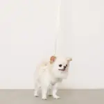 ぽこぽこチェックハーネス＋リードSET【名入れ刺繍対応】 - Image 4