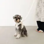 ぽこぽこチェックハーネス＋リードSET【名入れ刺繍対応】 - Image 8