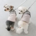 ボーダーリード - Image 7