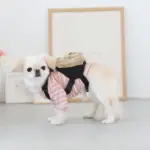 ベージュバックパックハーネス - Image 7