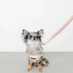 大理石調柄ハーネス - Image 2