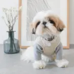 レザークラフトサークルネックレス - Image 5