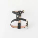 レザーハーネス　SMALL - Image 2