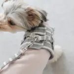 ボーダーハーネス - Image 9