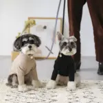 サークルチャームレザーカラー MEDIUM - Image 2