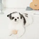 シリコンミニくまさんおもちゃ - Image 2