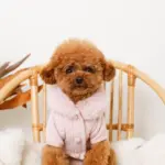 ファーカラーニットトップス - Image 2