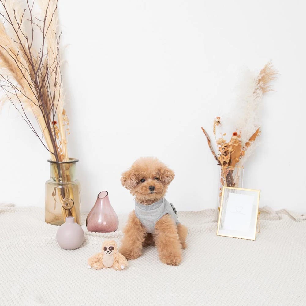 犬 携帯 ケースの正しい装着方法とフィット感調整