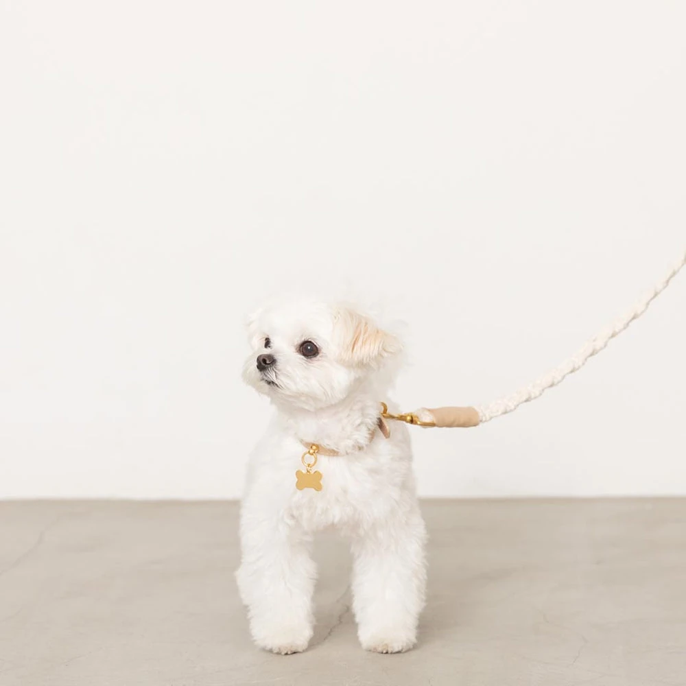 犬 携帯 ケース使用中の飼い主と愛犬の笑顔ショット